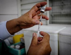 Primeira remessa da vacina contra a dengue chega em MT na prxima semana (Crédito: Assessoria)