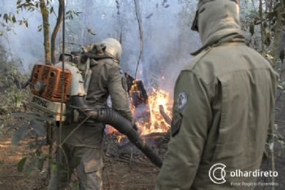 Somente nove focos de incndio causaram 68% das queimadas no Pantanal