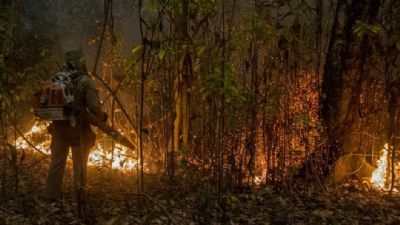 Os seis fatores que tornam incndios no Pantanal difceis de serem controlados