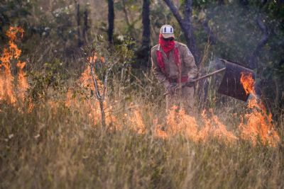 Em 10 dias, Mato Grosso teve mais queimadas do que o ms de junho inteiro no Pantanal