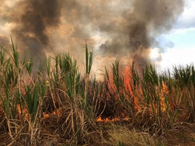 Incndio em canavial coloca IFMT em perigo e aulas so suspensas
