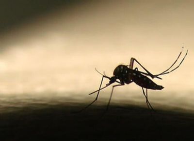 Mais de 200 casos de malria so notificados nos primeiros meses de 2023 em MT