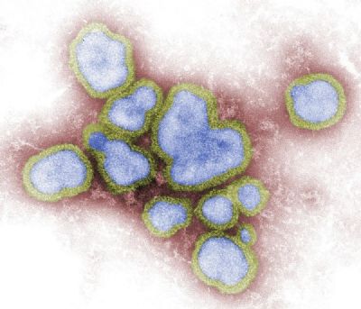 Municpio de MT registra morte por gripe