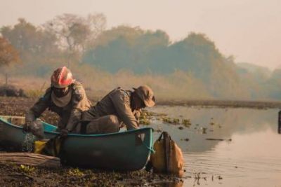 Fogo no Pantanal ameaa rea de concentrao de onas-pintadas em MT
