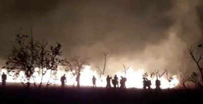 Corpo de Bombeiros prepara soldados para combate aos incndios florestais