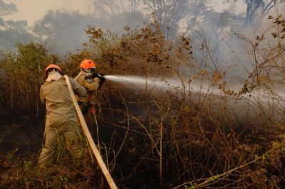 Sema destina mquinas de infratores para combate aos incndios no Pantanal