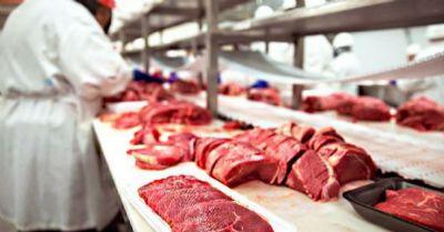 Para entender o aumento do preo da carne bovina