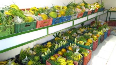 Entregas  delivery garantem a venda de produtos da agricultura familiar em Sorriso