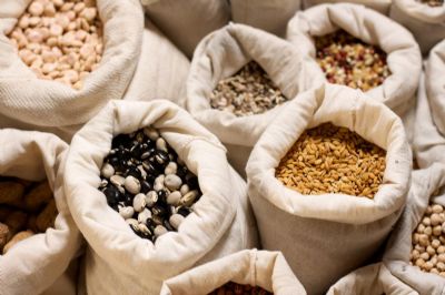 Secretaria de Desenvolvimento Sustentvel inicia distribuio de sementes selecionadas aos agricultores