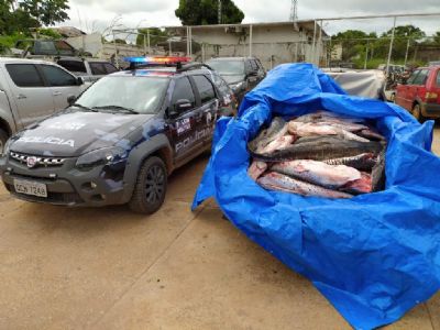 Polcia Militar apreende cerca de 500 quilos de pescado irregular em Cceres