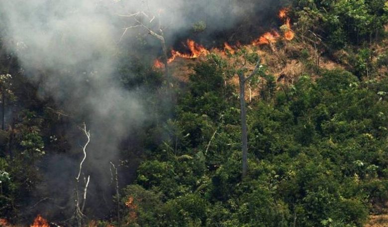 No dia da Amaznia, MT  o 2 em desmatamento e queimadas no bioma