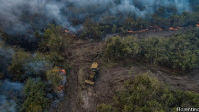 Com base de pesquisa no Pantanal, UFMT envia auxlio para combater incndio