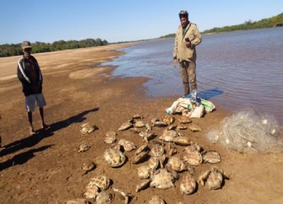 Duas pessoas foram presas com 104 tartarugas e 15 kg de pescado ilegal