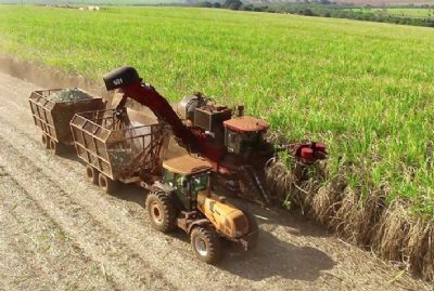 ​Produo de etanol  base de milho em Mato Grosso aumenta 39%