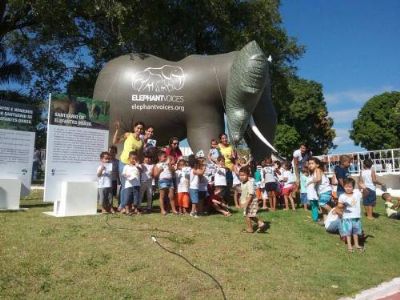 Santurio expe fotos e traz Teresita para celebrar Dia Mundial do Elefante