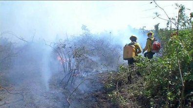Incndios no Pantanal devem permanecer por at 3 semanas