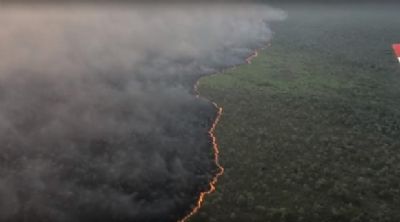 Fogo j devastou o equivalente a 1,4 milho de campos de futebol e matou diversos animais no Pantanal