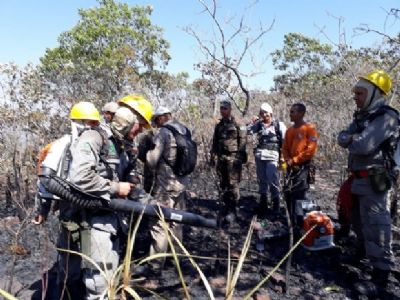 Fogo destri parte do Parque Estadual Serra Azul e bombeiro cr em incndio criminoso