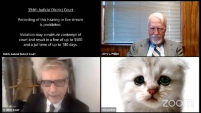 ​Advogado participa de audincia com filtro de gato do Zoom aplicado ao rosto
