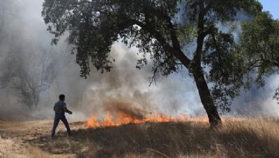 Defesa Civil de Mato Grosso far parte do plano de preveno e combate a incndios florestais