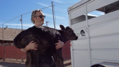 Joaquin Phoenix resgata vaca e bezerro de matadouro um dia aps vencer Oscar