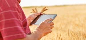 Mato Grosso ter rede de IoT dedicada ao agronegcio