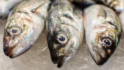 China anuncia que carga brasileira de peixe testou positivo para Covid-19