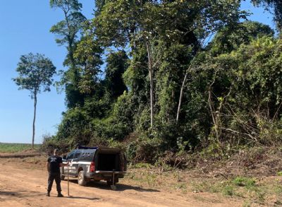 ​Polcia Civil localiza ossada de jovem sequestrado e morto por faco em Nova Ubirat
