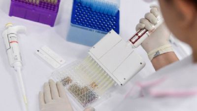 Brasil participa de testes de duas vacinas promissoras contra o novo coronavrus