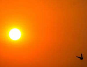 Novo veranico come�a hoje, com calor de at� 42�C no Centro-Oeste, Norte e Nordeste; veja previs�o