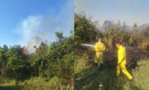 Inc�ndio atinge mais de 3 mil m� de �rea de preserva��o permanente em Martin�polis