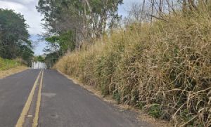 Cart ignora contrato e abandona manuten��o de vicinal em Prudente