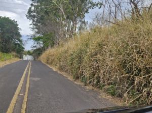 Cart ignora contrato e abandona manuten��o de vicinal em Prudente