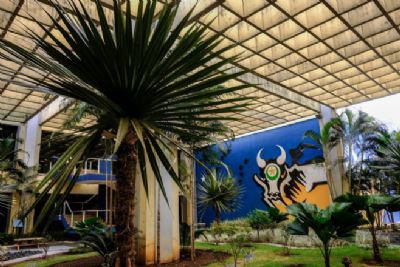 MT tem d�vida com a Uni�o suspensa; recursos v�o para a��es de combate � Covid-19