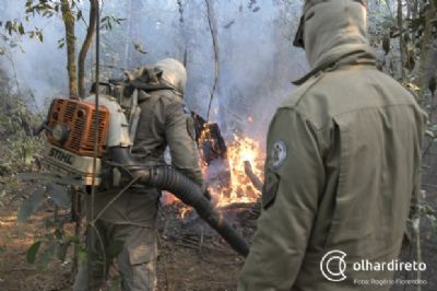 Somente nove focos de inc�ndio causaram 68% das queimadas no Pantanal
