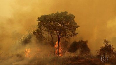 Temperatura chega a 43�C no Pantanal de MT