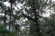 Bendito Cacao Resort & Spa e suas maravilhas Gastron�micas