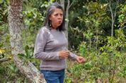 ​ Empaer e Seaf fomentam produ��o de mel na agricultura familiar em Chapada dos Guimar�es