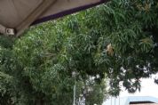 Pessoas em situa��o de rua recebem cobertores e alimentos para aquecer