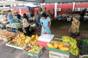 Feira de Agricultura Familiar em V�rzea Grande traz novidade com hortali�as org�nicas certificadas