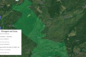 ​Militares fazem rescaldo de inc�ndio em parque estadual no Pantanal