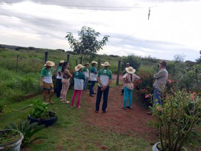 Curso Ensina Jardinagem em Santa Cruz do Xingu