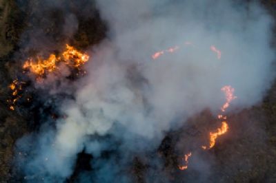 Pantanal tem pior outubro de queimadas da hist�ria e fogo cresce 121% na Amaz�nia