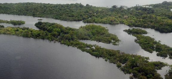 Temer veta MPs que poderiam reduzir �reas de preserva��o ambiental