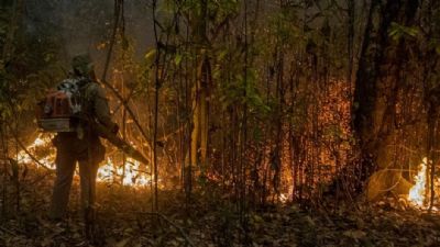 Os seis fatores que tornam inc�ndios no Pantanal dif�ceis de serem controlados