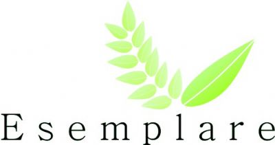 Corregedor eleitoral entrega III Pr�mio Esemplare a 18� ZE pela excel�ncia nos trabalhos