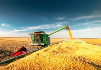 ​Mato Grosso segue como maior exportador nacional de milho