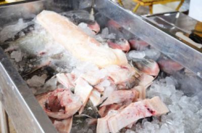 Peixe santo �salva� piscicultores