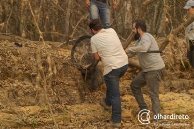 Imagens mostram luta de for�a-tarefa para resgatar animais feridos no Pantanal