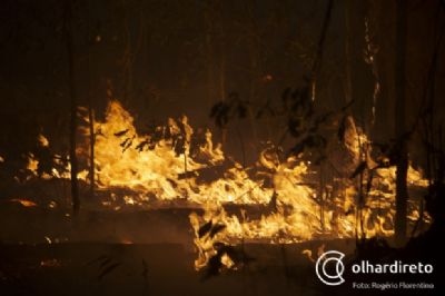 Fogo no subsolo, dificuldades de acesso e �improvisos�: OD mostra combate a inc�ndio que devasta Pantanal